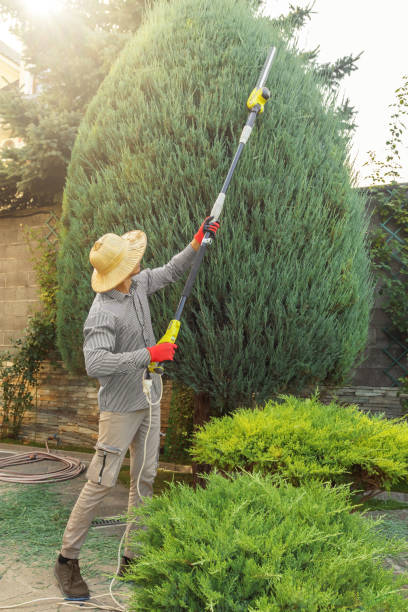 Best Lawn Mowing  in Council Grove, KS