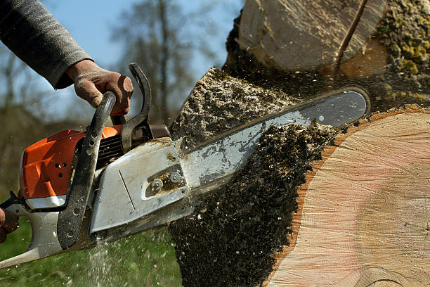 Best Firewood Processing and Delivery  in Council Grove, KS